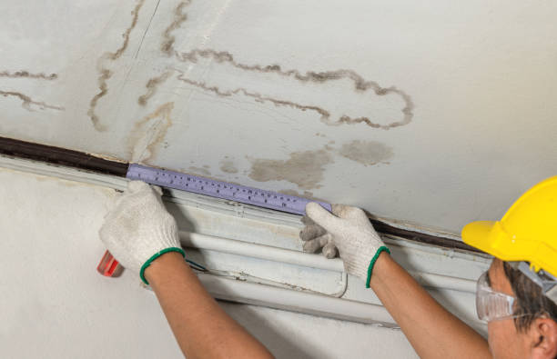 Reliable Water Damage contractor in Meredith, NH by Water Damage Irwin